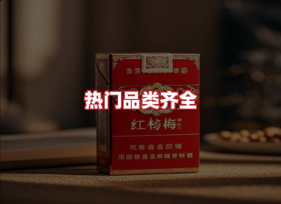 专业团队
